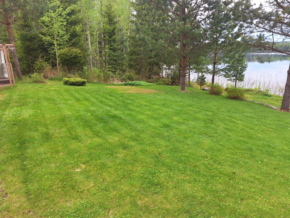 nurmikonleikkuu2.jpeg